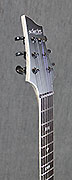 Guitares Schecter