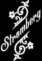 Guitare Stromberg