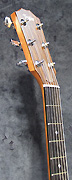 Taylor 214 CE LH