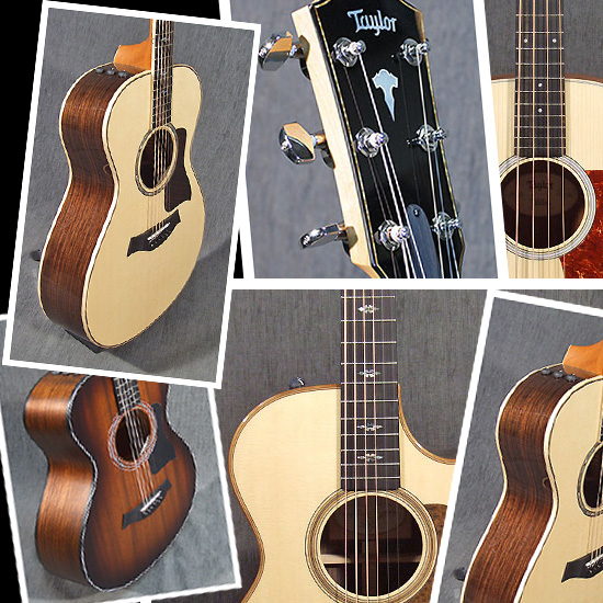 Taylor Guitars