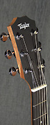Taylor GS Mini
