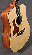 Taylor GS Mini