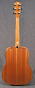 Taylor GS Mini