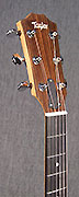 Taylor GS Mini