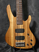 Washburn XB 925