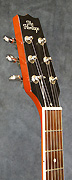 The Heritage H-535
