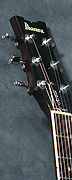 Ibanez AM 50
