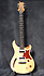 PRS SE Custom