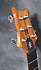 PRS SE Custom