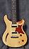 PRS SE Custom