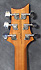 PRS SE Custom