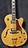 Epiphone Emperor