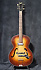 Hofner C449