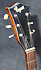 Hofner C449
