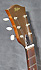 Hofner