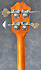 Epiphone Rivoli