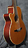 Takamine