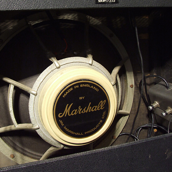 Marshall Reverb-Trem  The Specialist 