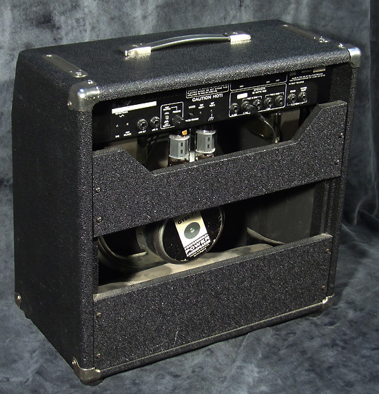 Ampeg VT60