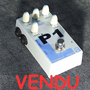 AMT P1