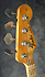Fender