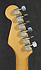 Fender