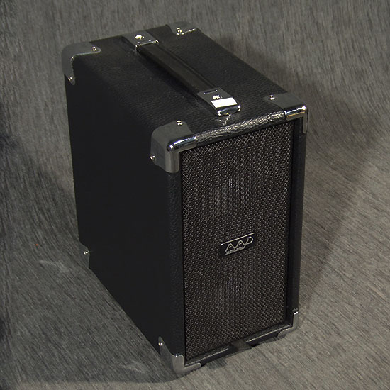 Phil Jones Cub AG 100