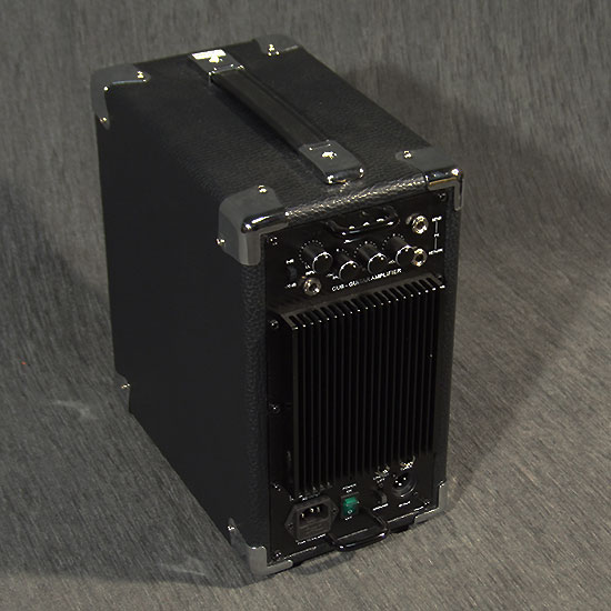 Phil Jones Cub AG 100