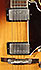 Gibson