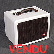 ZT Lunchbox Acoustic