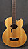 Epiphone