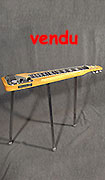 Rickenbacker Lapsteel