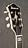 Ibanez