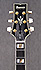 Ibanez