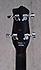 Danelectro