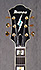 Ibanez PM 100