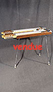Magnatone Lapsteel Double