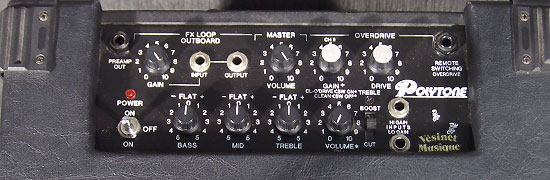 Polytone Mini Brute