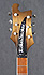 Rickenbacker 480