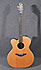 Takamine NP25C LH