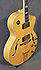 Epiphone Joe Pass