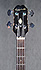 Epiphone EB 232 Rivoli