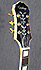 Epiphone Joe Pass