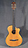 Taylor NS42 Ce