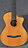 Taylor NS42 Ce