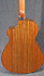 Taylor NS42 Ce