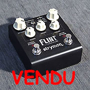 Strymon Flint - Strymon Flint