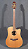 Takamine TAN 10C