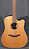 Takamine TAN 10C