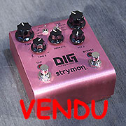 Strymon Dig - Strymon Dig